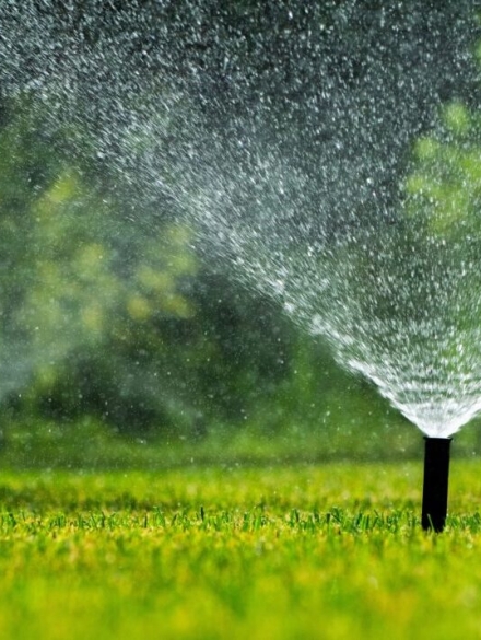 Automatic,Sprinklers,Spraying,Water,On,A,Green,Lawn,In,A