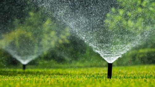 Automatic,Sprinklers,Spraying,Water,On,A,Green,Lawn,In,A